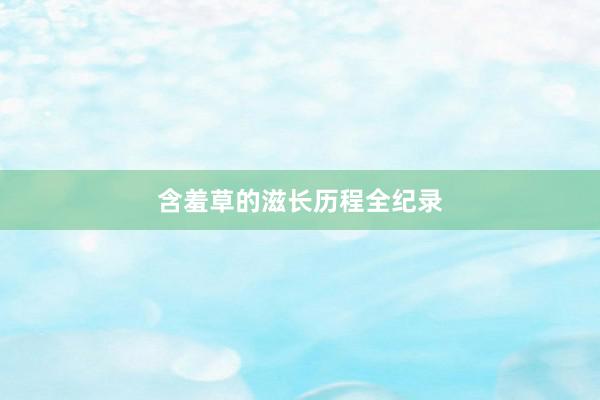 含羞草的滋长历程全纪录