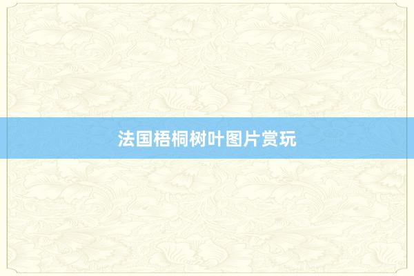 法国梧桐树叶图片赏玩