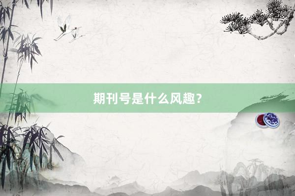 期刊号是什么风趣？