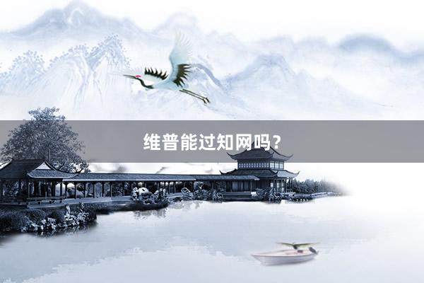 维普能过知网吗?